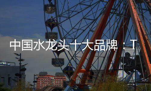 可以过滤水中的为精杂质