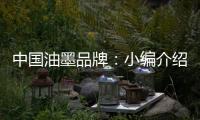 快排公司十年历程，霸屏兔 seo 的崛起与坚守