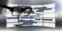 快排公司十年历程，霸屏兔 seo 的崛起与坚守