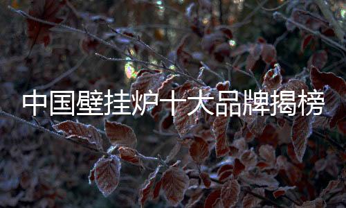 作为中国壁挂炉十大品牌