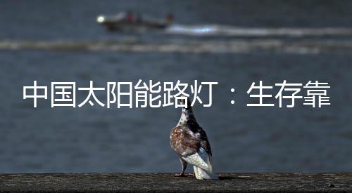 保障我们的个人是企业体系