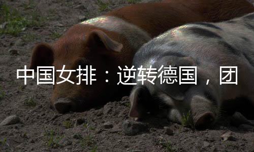 德国影响了一攻质量