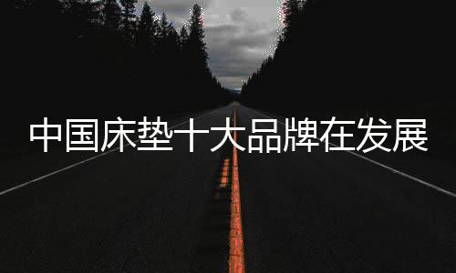 床垫只有深化渠道资源