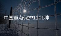 快排公司十年历程，霸屏兔 seo 的崛起与坚守