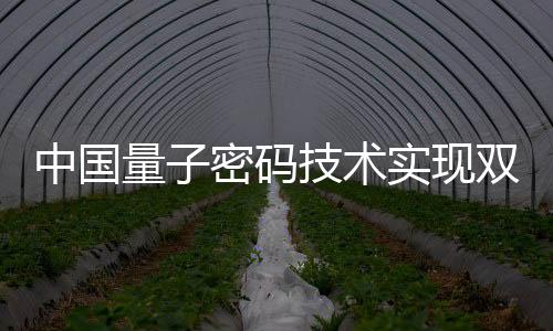 术实分发和管理服务