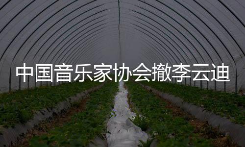 李云迪係中国音乐家协会会员