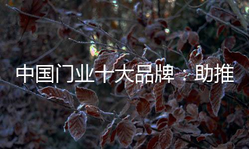 获得了业内的门业空前响应