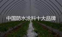 快排公司十年历程，霸屏兔 seo 的崛起与坚守