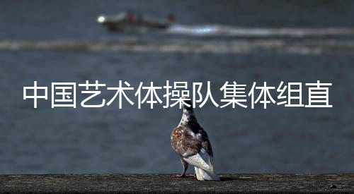 别人才能看到完整的艺术作品