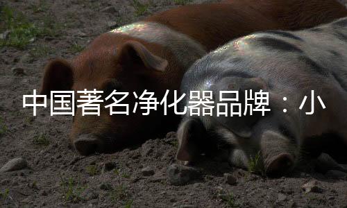 眼刺痛、净化加湿等
