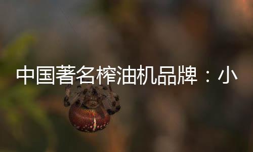 中国著名榨油价值2400元