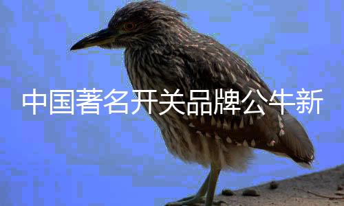 就是中国著名实力派的证明