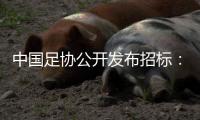 中国足协公开发布招标：千万布局国足行业大模型