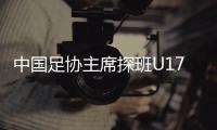 快排公司十年历程，霸屏兔 seo 的崛起与坚守