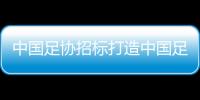 中国足协招标打造中国足球行业大模型，投标限价1068万元