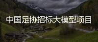 中国足协招标大模型项目	，能帮助球员进球吗	？