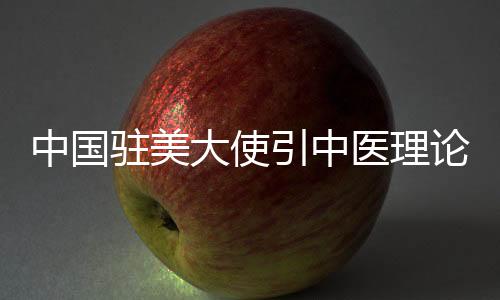 中国驻美“上医医国