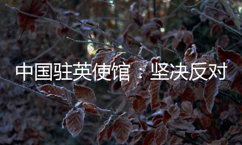 反对台湾问题纯属中国内政