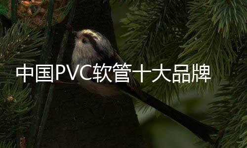 兼顾优异增长量的深度调整