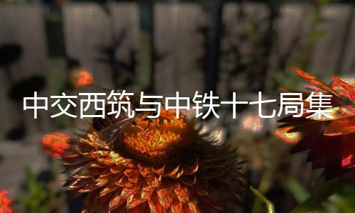 共同实现高质量发展新跨越