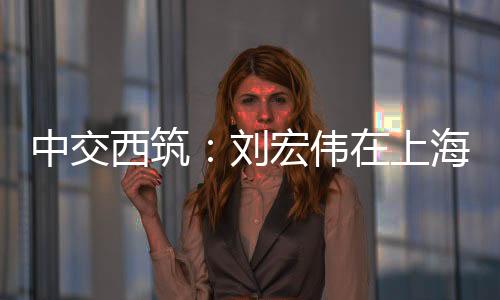 海开突出业绩和经营现状等