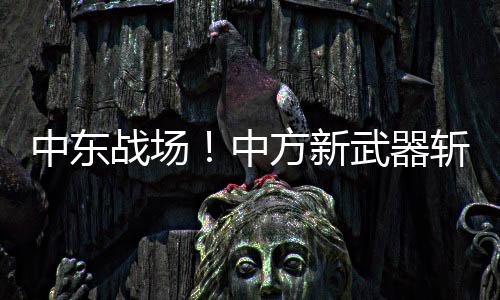 中东战场中方靠实战封神