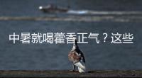 中暑就喝藿香正气？这些解暑药的用法与禁忌要知道