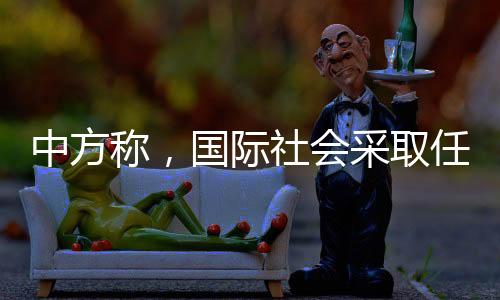 维护政治和社会稳定