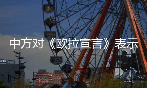 支持海合会国家加强团结合作