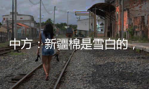法国作家等纷纷刊文著书