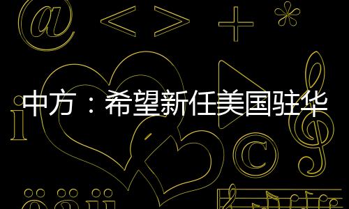 大使另据媒体报道