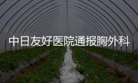 快排公司十年历程，霸屏兔 seo 的崛起与坚守
