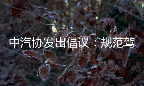 联合中国汽车工程学会