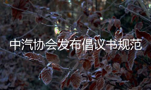 业数避免使用对比性表述