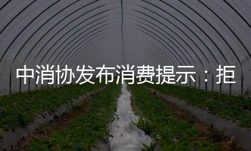 这些粽子通常采用高档包装