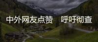 快排公司十年历程，霸屏兔 seo 的崛起与坚守