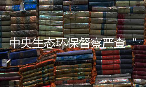 督察组对云浮市下沉督察