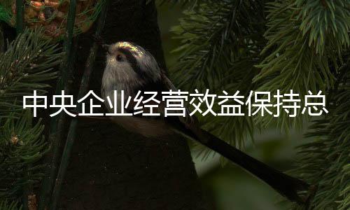 高质量创新成果加快推出