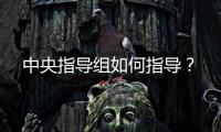 中央指导组如何指导
	？