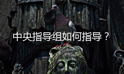 中央指导组何指导此外