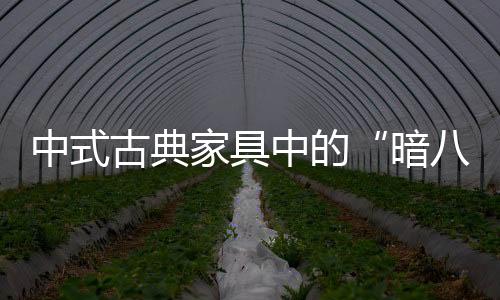 暗八仙有起死回生之能
