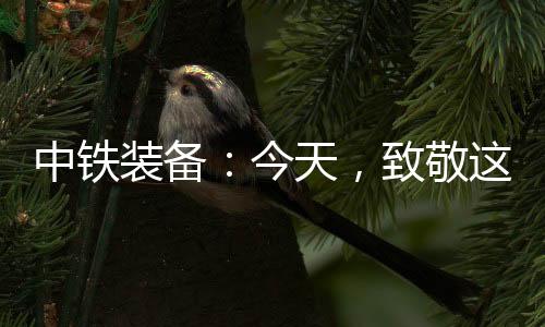 追光者不要轻言放弃