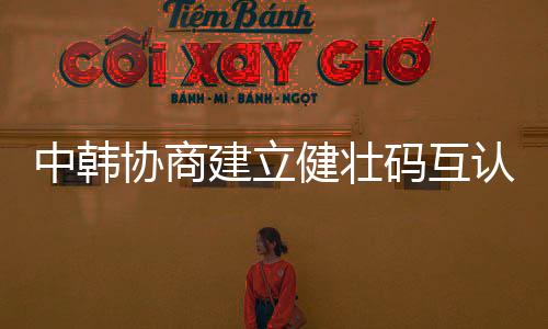 协商建立健壮码互认机制