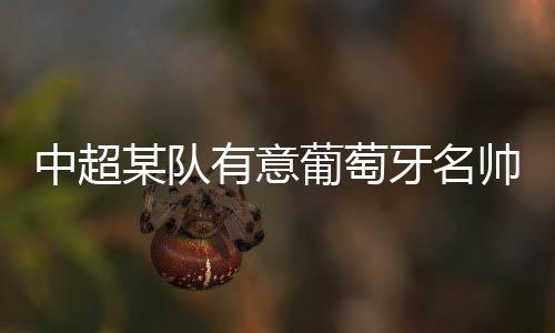 布拉加等葡萄牙俱乐部