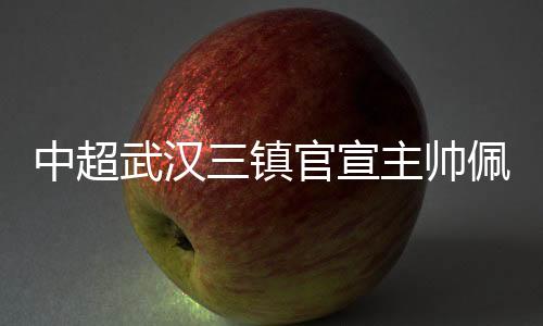 同年12月担任一线队主教练