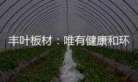 丰叶板材：唯有健康和环保不可辜负!