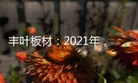 丰叶板材：2021年，我们想要这样!