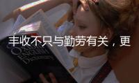 丰收不只与勤劳有关，更与市场和风险相连丨记者手记
