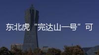 东北虎“完达山一号”可能已“脱单”�
！
