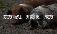 东方雨虹：知敬畏，成方圆